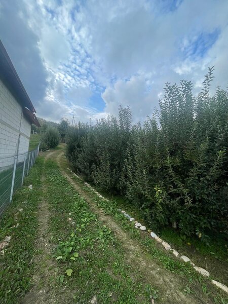 Botesti, judetul Arges