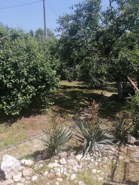 Botesti, judetul Arges